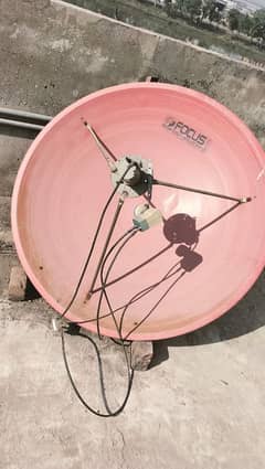 Dish with Double connect