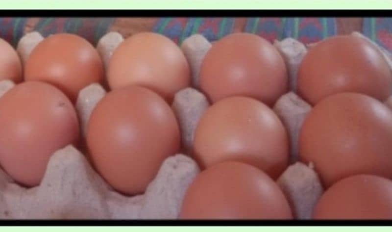 Hens Desi Eggs 1