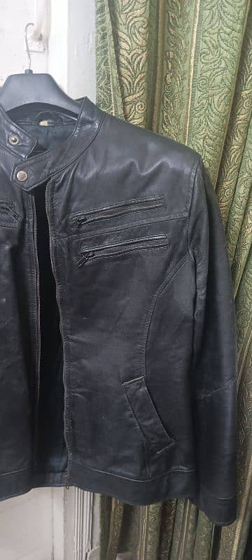 Original Cow Leather Jacket 2