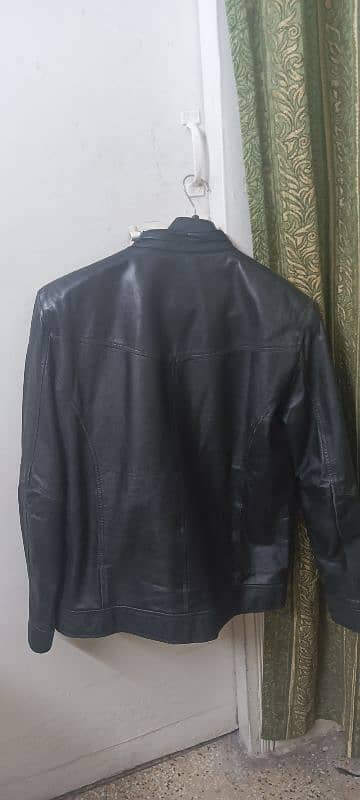 Original Cow Leather Jacket 6