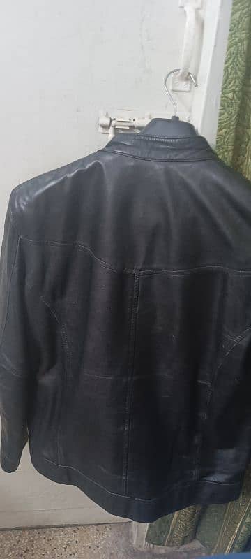 Original Cow Leather Jacket 7