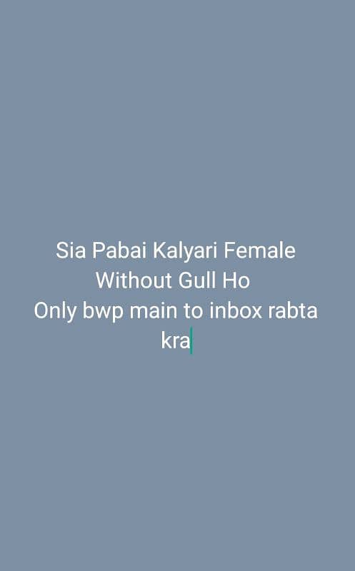 only bwp ma ksi bhai ky pas ho to inbox 1