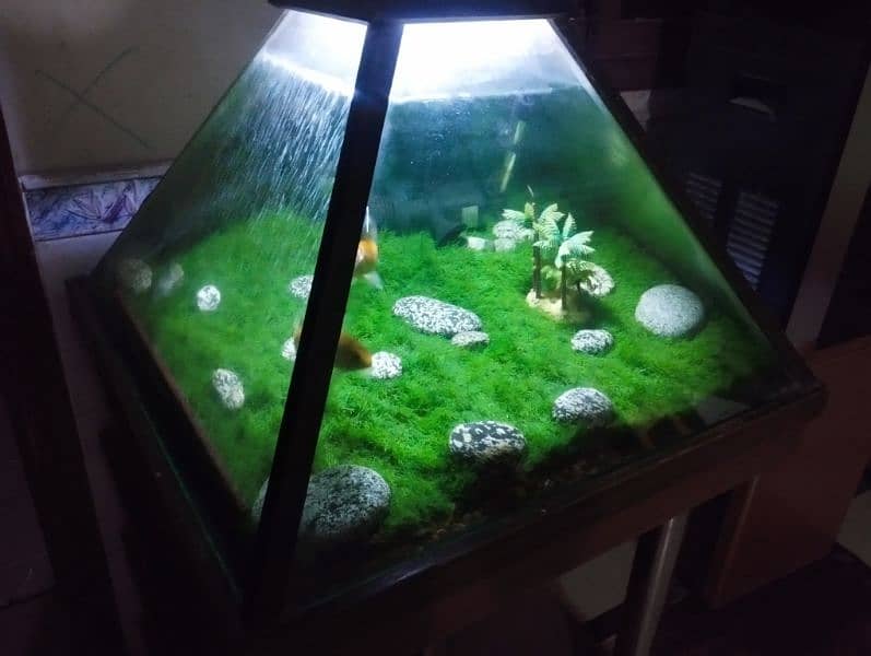 Fish Aquarium - pyramid shape antique design 0