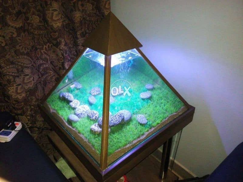 Fish Aquarium - pyramid shape antique design 2