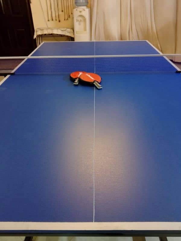 Table tennis table 10