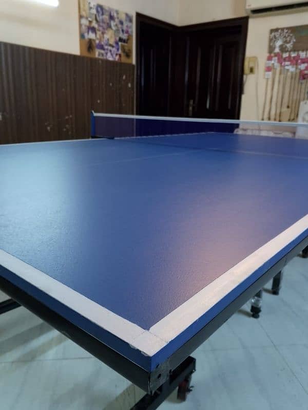 Table tennis table 11