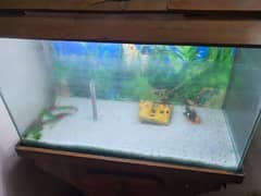 FISH AQUARIUM - URGENT SALE