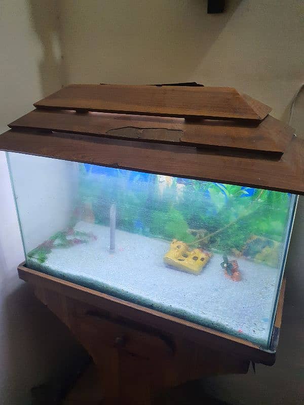 FISH AQUARIUM - URGENT SALE 2