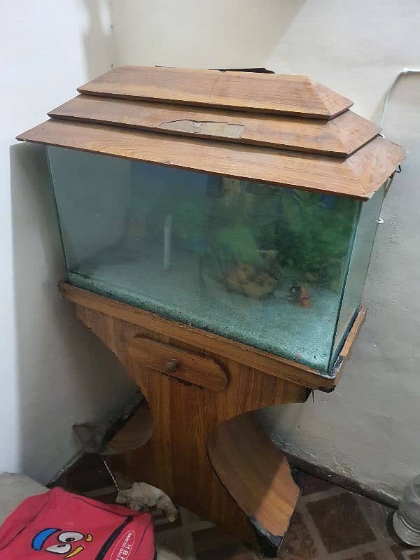 FISH AQUARIUM - URGENT SALE 3