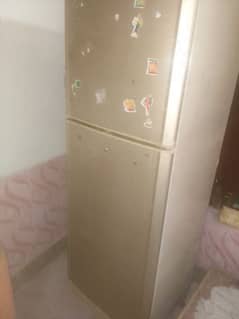 Pel Refrigerator