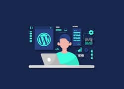 Title: Wordpress Developer and UX/UI Designer Needed