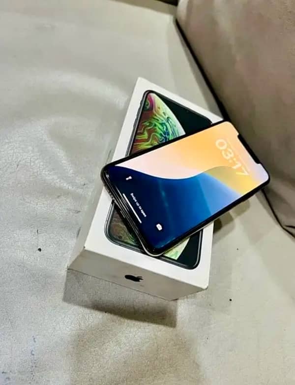 iPhone XS Max PTA approved 5