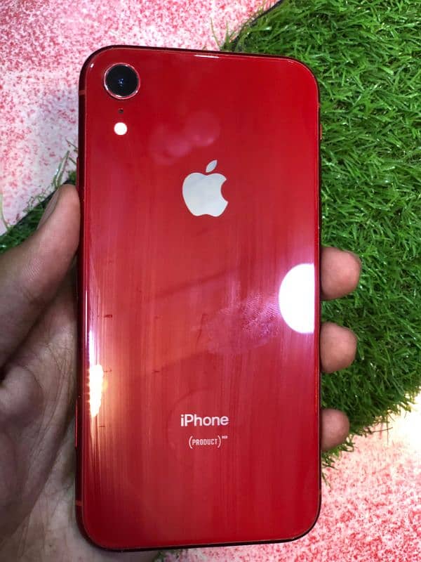 iphone xr official pta approved 0