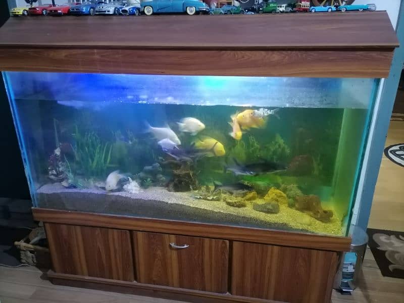 large aquarium and nano aquarium 0