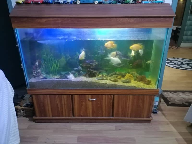 large aquarium and nano aquarium 2