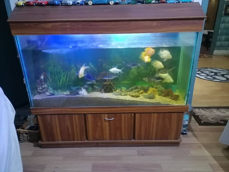 large aquarium and nano aquarium 3