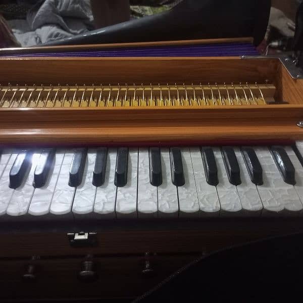 Indian harmonium 0