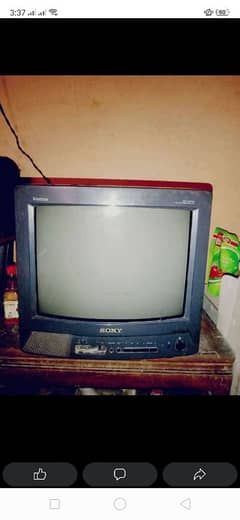 Television