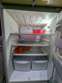 Large Size Pel Refrigerator for Sale