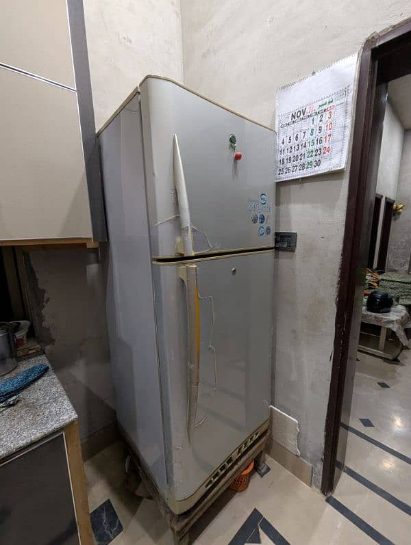 Large Size Pel Refrigerator for Sale 1