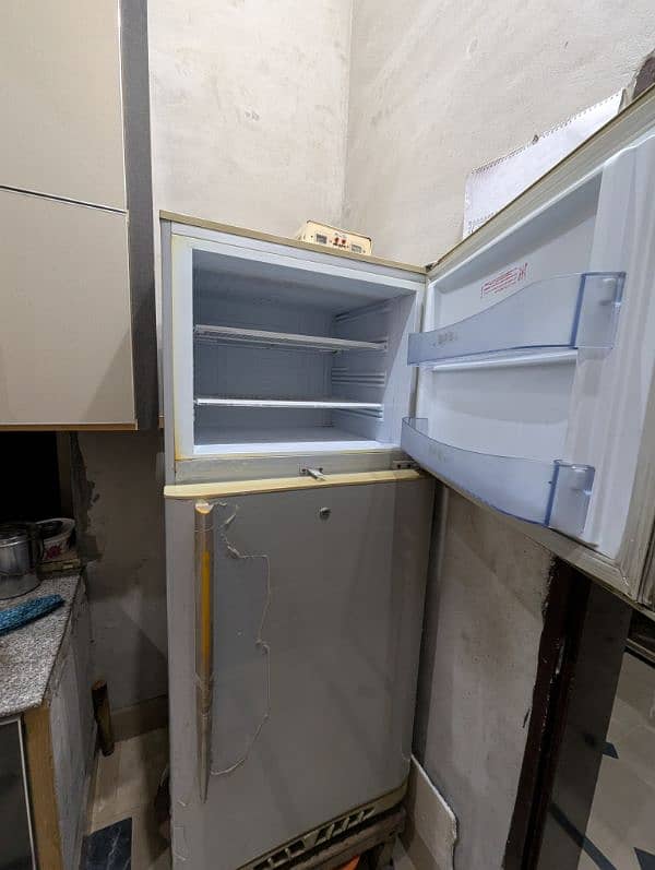 Large Size Pel Refrigerator for Sale 3