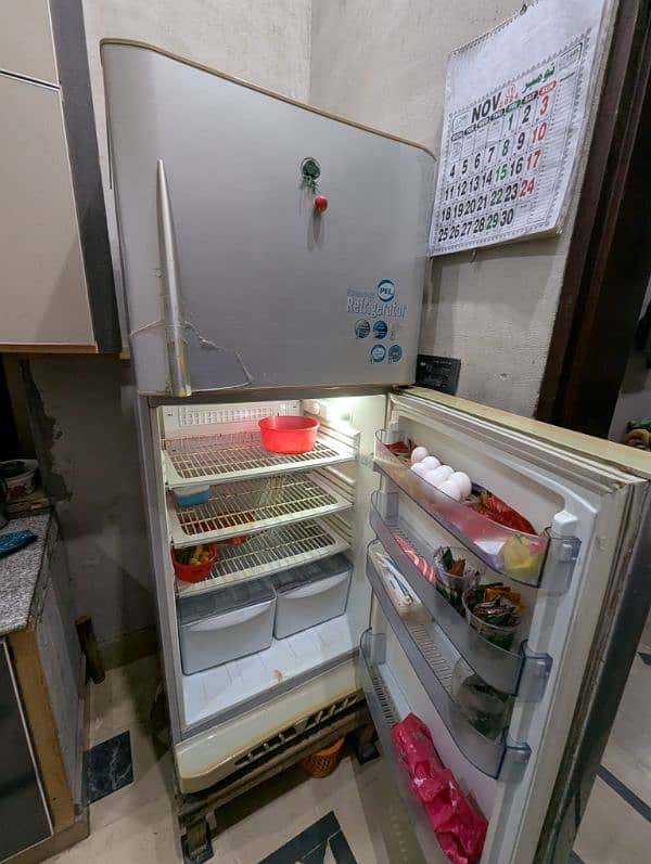 Large Size Pel Refrigerator for Sale 4