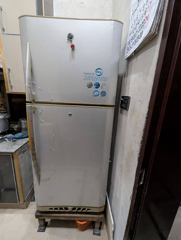 Large Size Pel Refrigerator for Sale 5