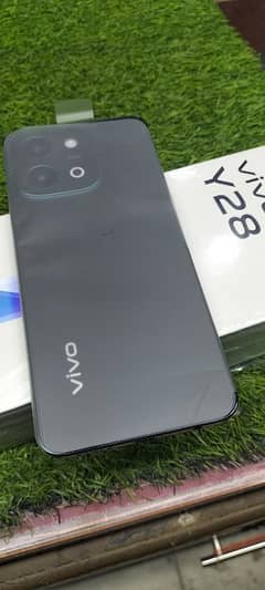 vivo