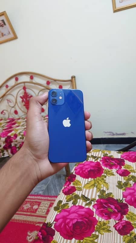 Iphone 12 Mini 1