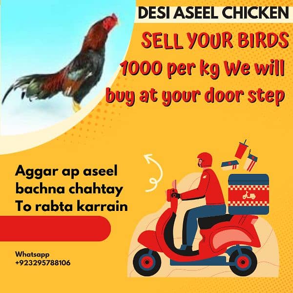 Sell your aseel at 1000 per kg 0