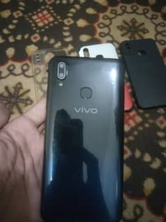 vivo