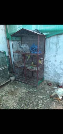 cages/pinjra