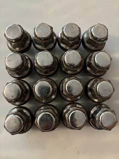 Bottle Nut (Made in Japan)