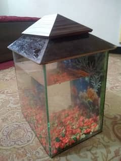 fish tank