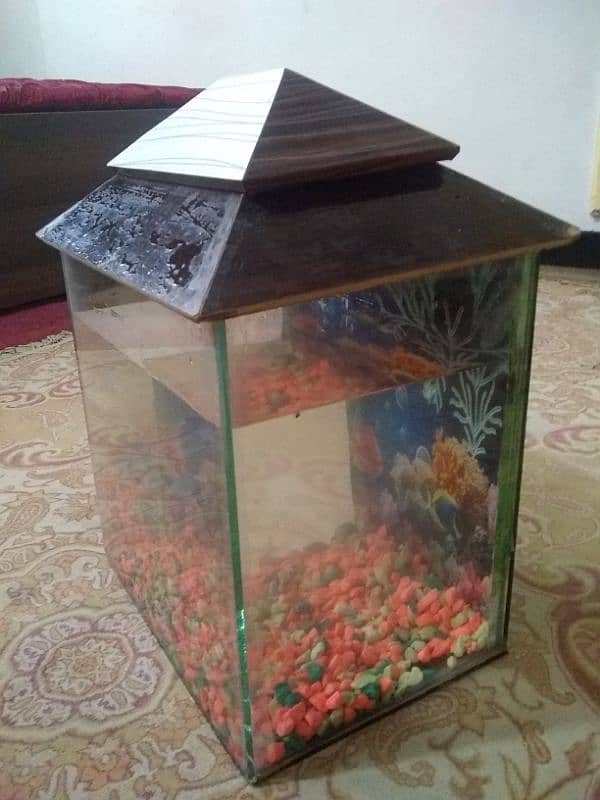 fish tank 0