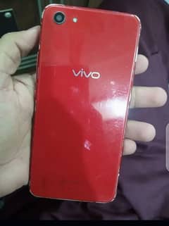 Vivo