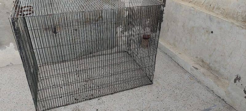 cage for sale 4 fut lambai 2.5 choray rabta num 03267460091 0