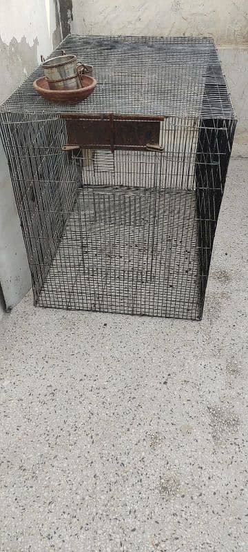 cage for sale 4 fut lambai 2.5 choray rabta num 03267460091 1