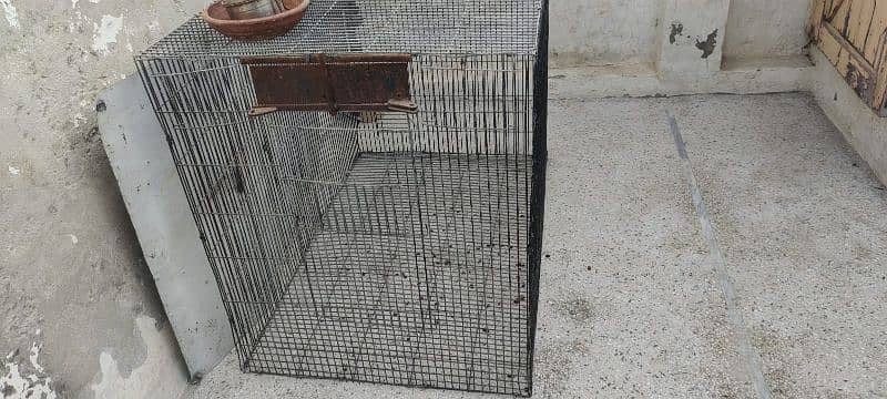 cage for sale 4 fut lambai 2.5 choray rabta num 03267460091 4