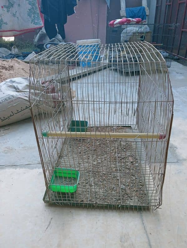 Birds Cages 2