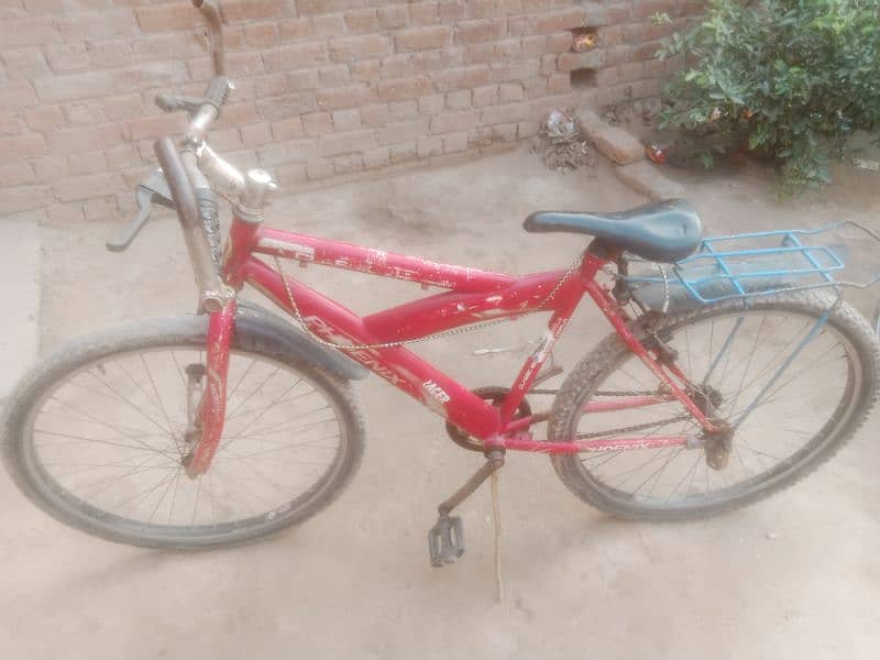 bicyles for sell arjant 1