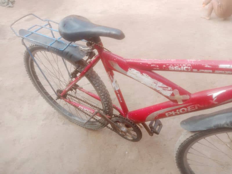 bicyles for sell arjant 2