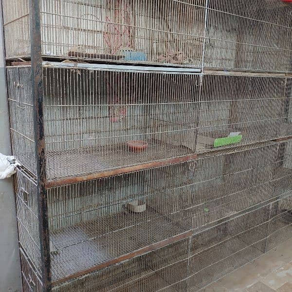 birds cage 2