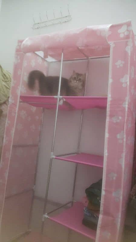 portable wardrobe almari with cat paw design 2