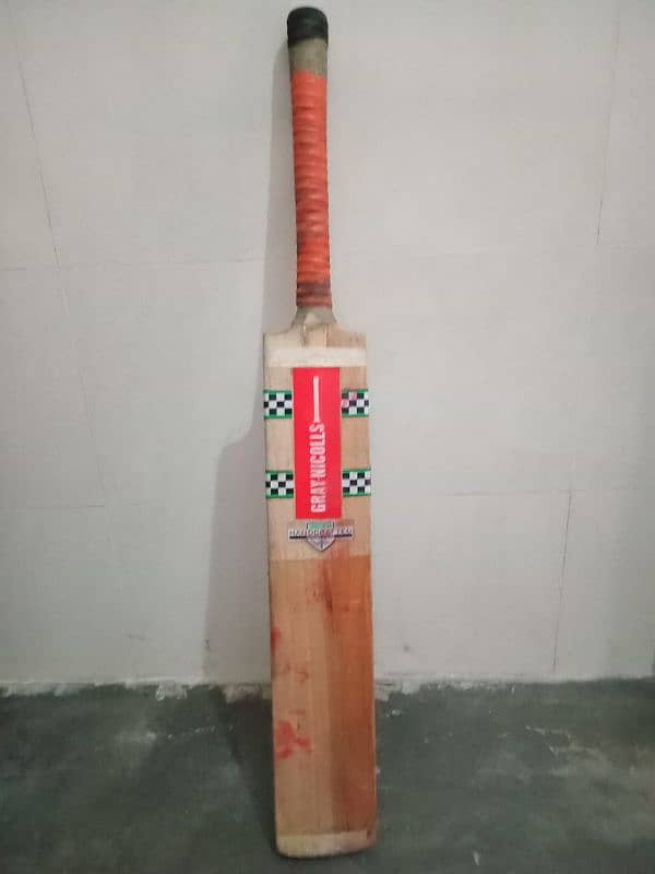 Hard ball cricket bat 2