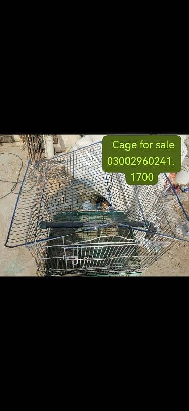 Cage /gray parrot/raw parrot/parrot 2