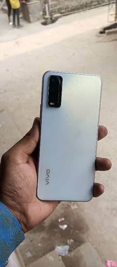 vivo