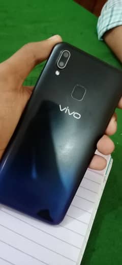 vivo