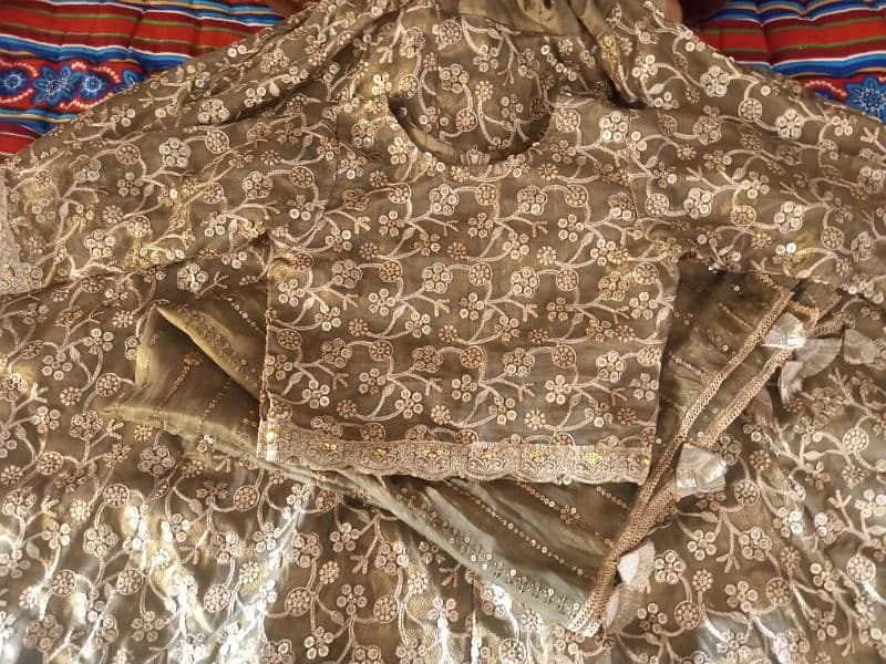 Large wedding lehnga 0