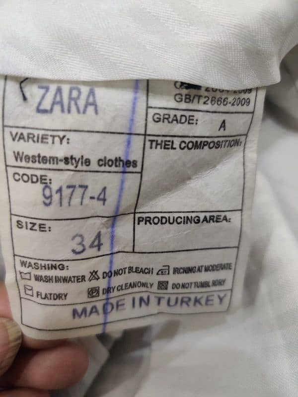 Black Pant Coat (Zara Brand) 2